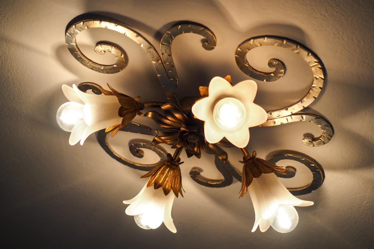 Cesa Edelweiss Living & Spa Кампитело ди Фаса Екстериор снимка